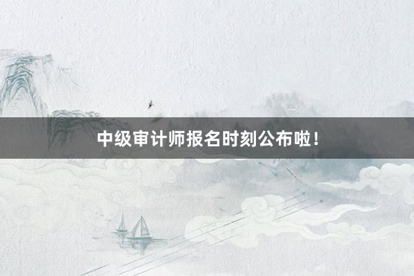 中级审计师报名时刻公布啦！